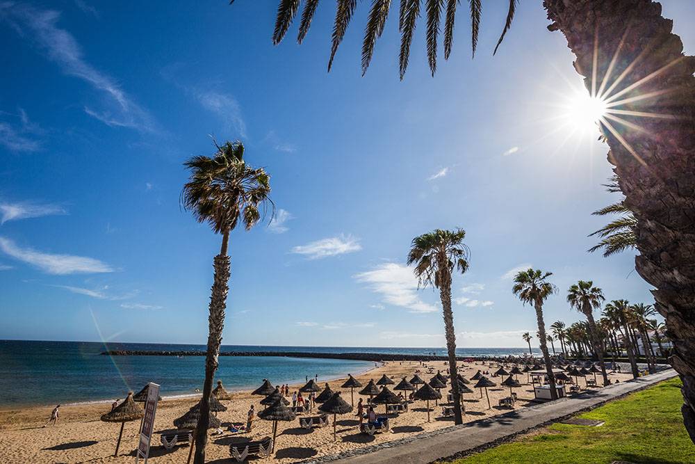 camison-tenerife